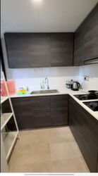 Sims Urban Oasis (D14), Condominium #601636051